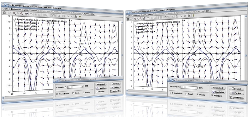MathProf - Richtungsfelder - DGL - Richtungsfeld - 1. Ordnung - Lösungskurven - Isoklinen - Plotten - Rechner - Beispiel - Zeichnen - Darstellen - Plotter
