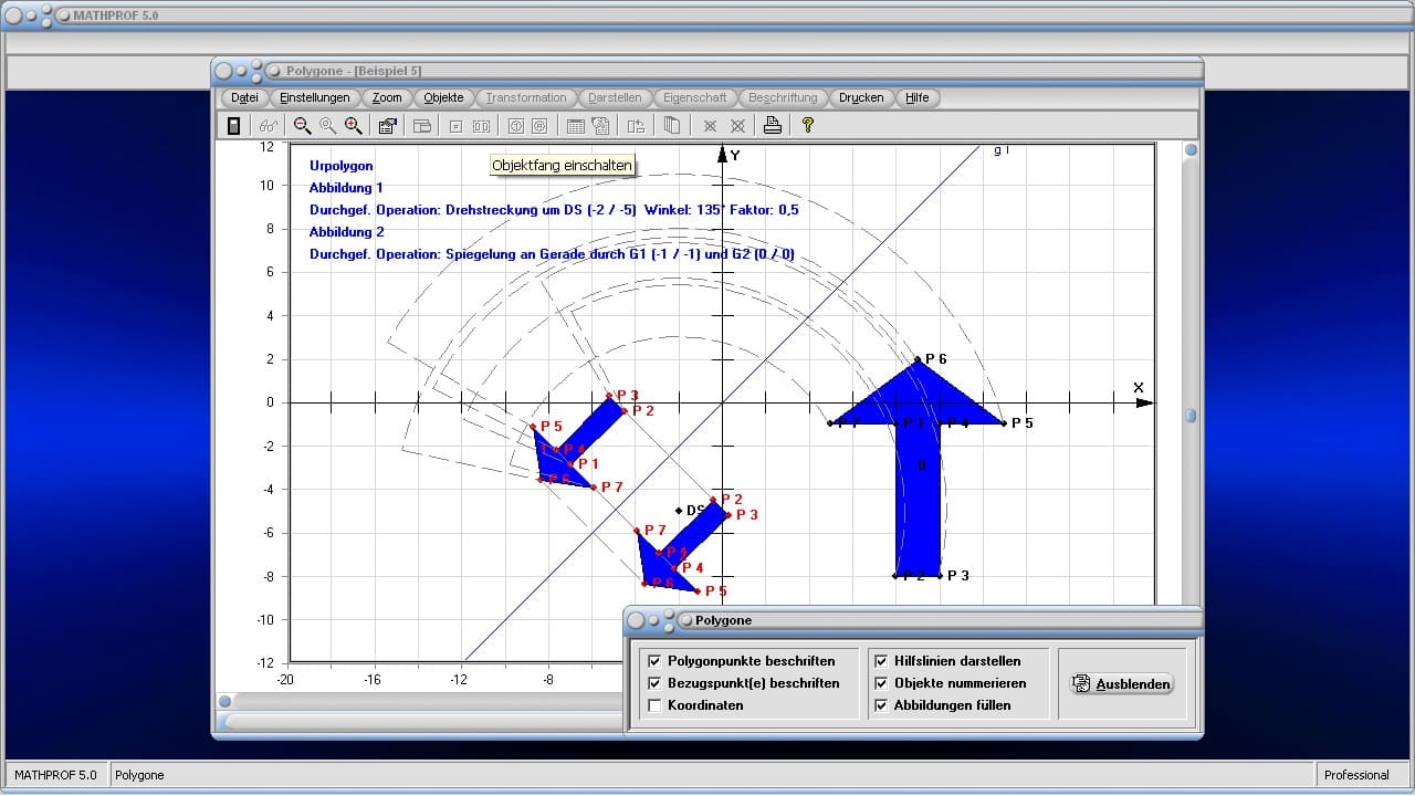 Polygone - Bild 2 - Geradenspiegelung - Punkte - Ursprung - Abbildung - Unregelmäßige Flächen - Vielecke - Geometrische Operationen - Flächen - Geometrie - Spiegelachse - Drehung - Drehstreckung - Darstellen - Plotten - Graph - Rechner - Berechnen - Grafik - Zeichnen - Plotter