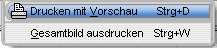 MathProf - Drucken - Vorschau - Menü