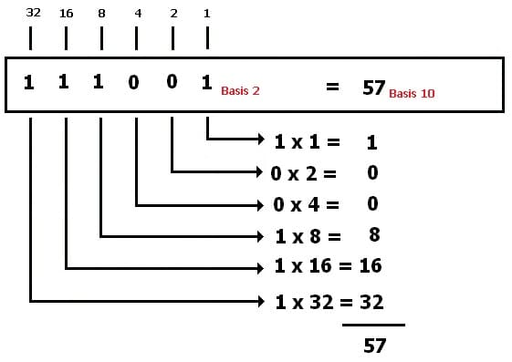 MathProf - Umrechnen - Umrechnung - Zahlensystem - Zehnersytem - Binär - Dualzahl - Dual - Rechner - Berechnen - Beispiel