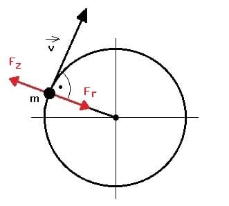 PhysProf - Zentripetalkraft - Radialkraft - Zentrifugalkraft - Fliehkraft - Geschwindigkeitspfeil - Trägheitskraft - Trägheitskräfte - Scheinkräfte - Massepunkt - Punktmasse - Scheinkraft - Berechnen - Formel