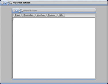 Physprof - Notizen - Bemerkungen - Editor